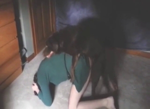 Horny Lab fucking his asshole from behind