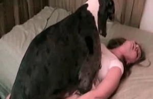 Big doggy with a hard dick fucked her cunt