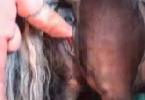 Dude fisting this horse's hot pussy