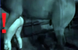 Dude gets destroyed by a horse