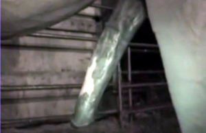 Dude gets destroyed by a horse