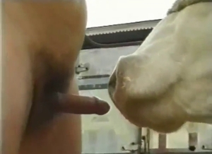 Hot bitch of a mare is ready for his dick