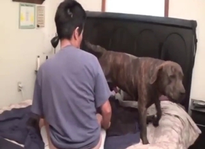Asian zoophile has his ass ruined by a dog