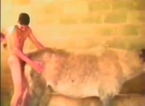 Bestiality sex with a hung guy fucking sexy beast