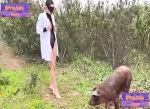 Zoo XXX shows her taking it a pig's crazy dick