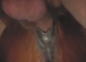 Horse's brown pussy fucked by a large human D