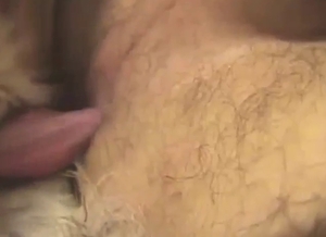 Red cock should be pulled out in this one