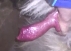 Zoophile is using that hand to jerk off the beast