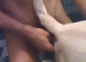 Mad hot bestiality sex with a man fucking animals