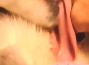 Dog wants to take that finger all the way in