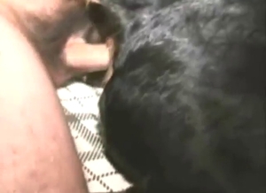 Dude puts penis in a submissive animal on a bed