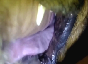 Muzzle and close-up fucking with a slutty beast