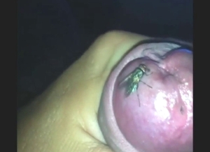 Flies all over that nice-looking penis, so yummy
