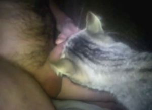 Kitty cock play with the animal sucking him off