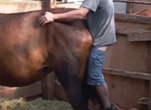 Dude has a big farm animal he cannot wait to gape