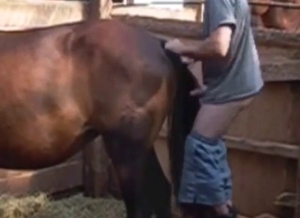 Dude has a big farm animal he cannot wait to gape