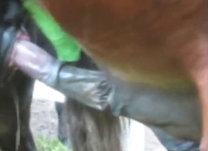 Pony porn scene with a hung beast gaping hole