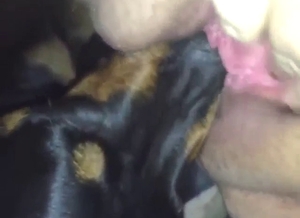 Dog is going to worship a human pussy up close