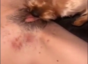 Seasoned girl gets her vag polished by dog