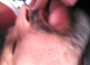 Hot animal pussy exposed in a hot licking scene